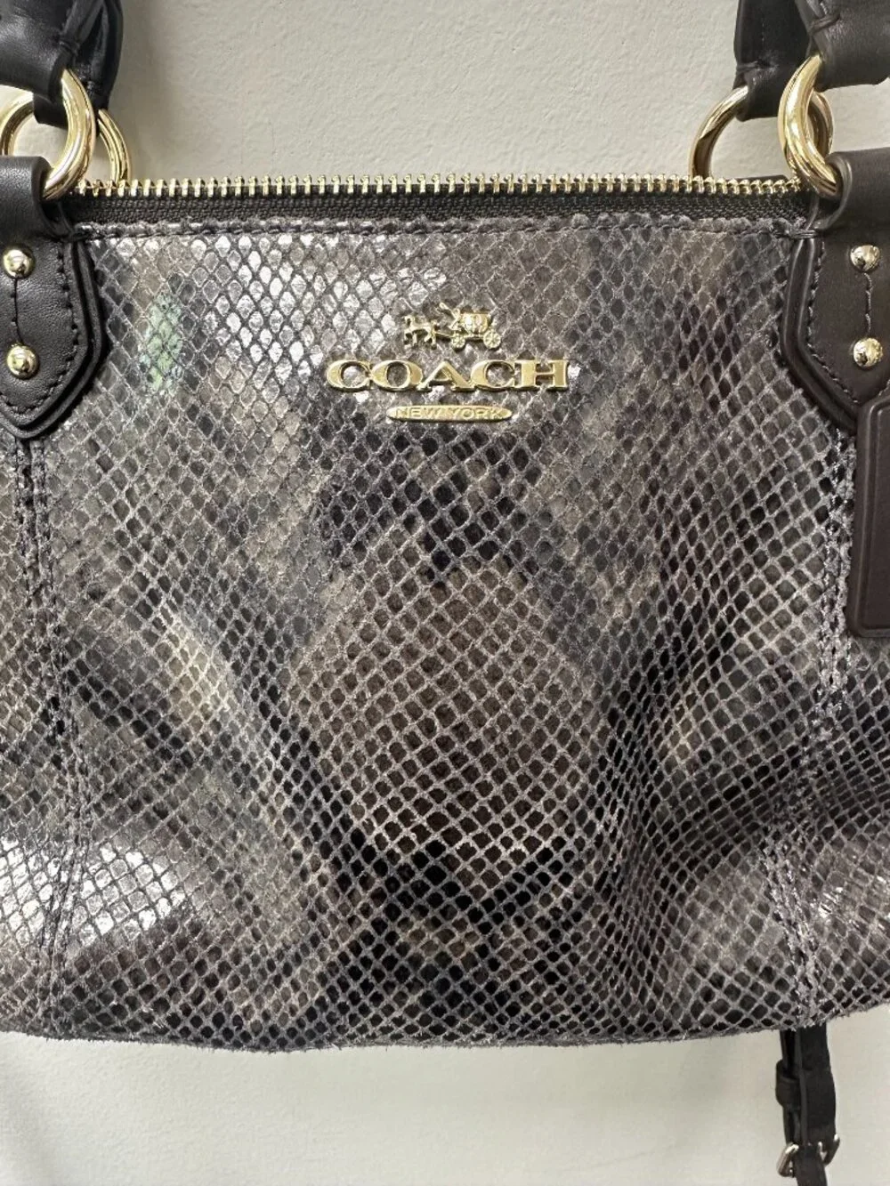 Coach Colette Snakeskin / Leather Crossbody Purse